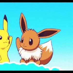 Meet your Posher, Bailey